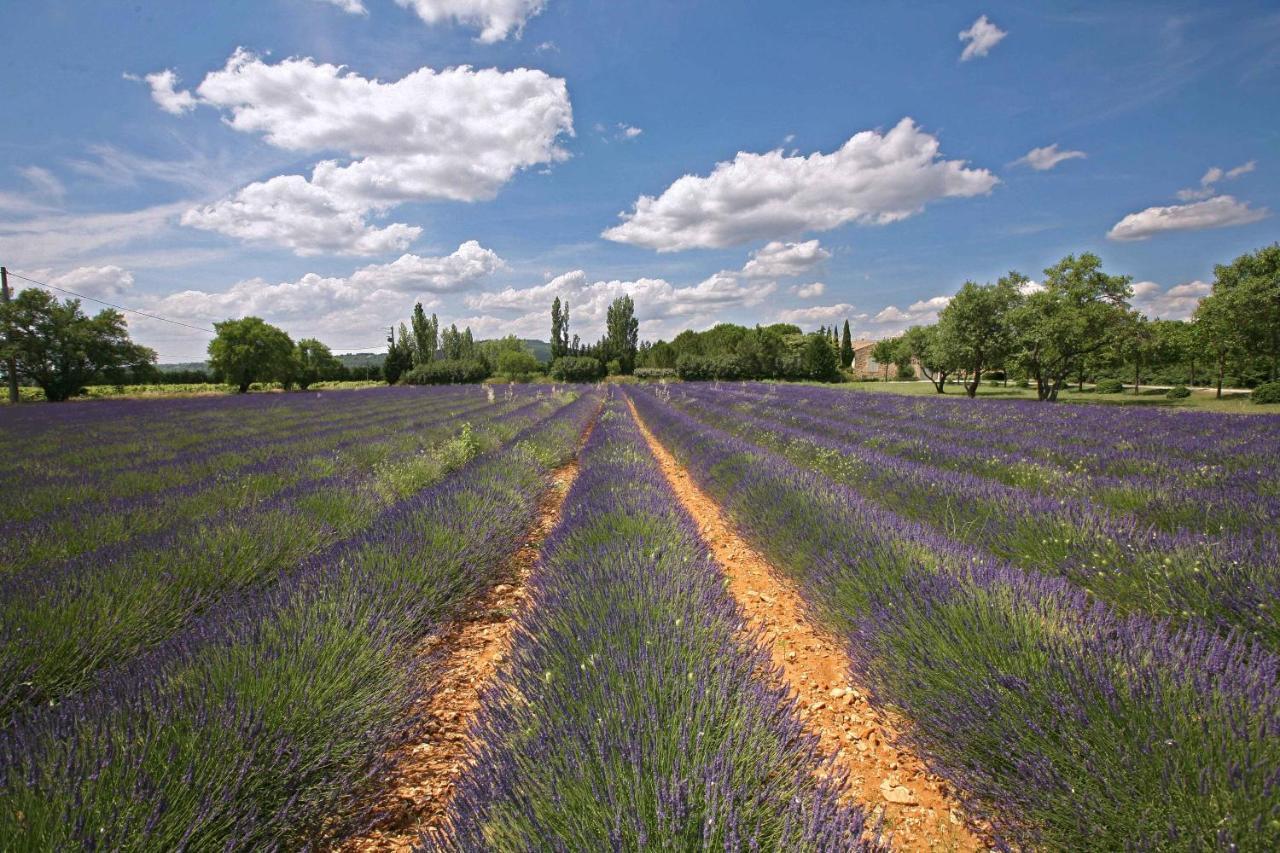 Gites Dans Mas En Pierres Robion en Luberon Bagian luar foto